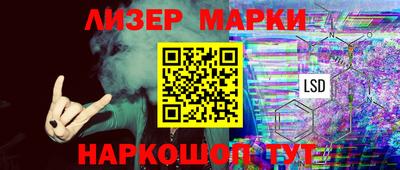 шишки Камышлов