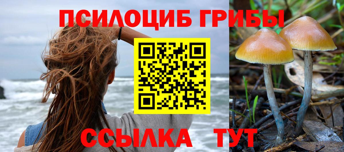 Галлюциногенные грибы мицелий Ликино-Дулёво